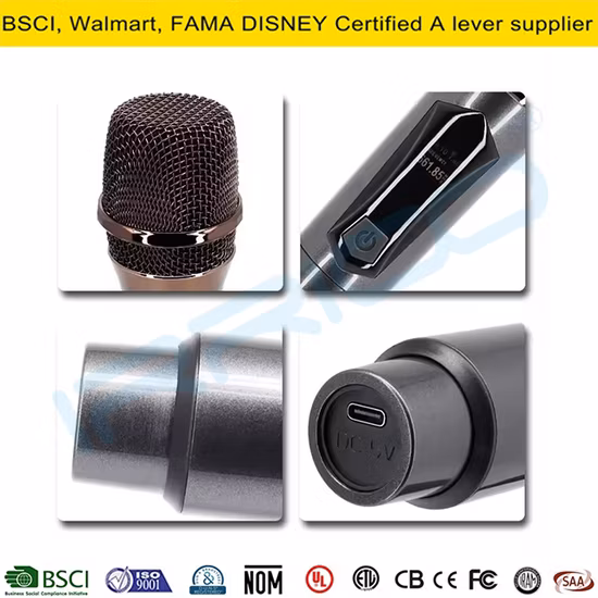 Professional 2 Hand-Held UHF Conference Microphone